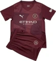 Футбольна форма Манчестер Сіті (Manchester City) 2024-2025 виїзна бордова F0116