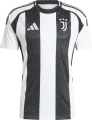Футболка Ювентус (Juventus) 2024-2025 домашняя черно-белая F0142