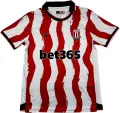 Футболка Сток Сіті (Stoke City) 2025-2026 домашня біло-червона F0279