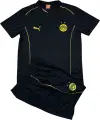 Футбольна форма Боруссія Дортмунд (Borussia Dortmund) 2025-2026 тренувальна чорно-жовта F0302
