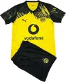 Футбольна форма Боруссія Дортмунд (Borussia Dortmund) 2025-2026 домашня жовто-чорна F0341