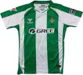 Футболка Реал Бетіс (Real Betis) 2025-2026 домашня біло-зелена F0354