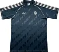 Футболка Реал Мадрид (Real Madrid) 2024-2025 темно-сіро-біла F0448