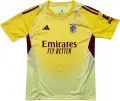Вратарская футболка Бенфика (Benfica) 2026 домашняя желто-бордовая F0588