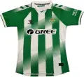 Футболка Реал Бетіс (Real Betis) 2026-2027 домашня зелено-біла F0687