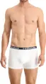Трусы (боксерки) Head BASIC BOXER 2P бело-черные (2 штуки) 701202741-013