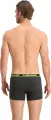 Трусы (боксерки) Head BASIC BOXER 2P темно-серо-лаймовые (2 штуки) 701202741-009