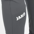 Спортивные штаны тренировочные Jako PREMIUM серые 8420-48