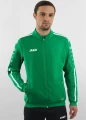 Олимпийка (мастерка) Jako STRIKER 2.0 зелено-белая 9319-06
