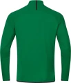 Реглан дитячий Jako Zip top CHALLENGE зелений 8621-201