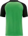 Футболка Jako COMPETITION 2.0 зелено-черная 6118-22