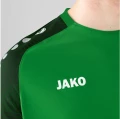 Футболка Jako PERFORMANCE зелено-черная 6122-221