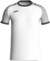 Футболка джерси Jako ICONIC S/S бело-серая 4224-016