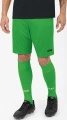 Шорти Jako MANCHESTER 2.0 C104 зелені 4400-22
