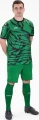 Футболка джерсі Jako ANIMAL S/S зелено-чорна 4242-201