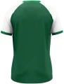 Футболка джерси Jako DYNAMIC S/S зелено-белая 4270-205