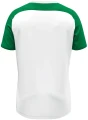 Футболка джерсі Jako VINTAGE S/S біло-зелена 4245-029