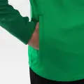 Олімпійка (мастерка) Jako DYNAMIC зелено-біло-темно-зелена 9370-204