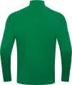 Реглан дитячий Jako ZIP TOP POWER зелено-білий 8623-200