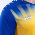 Футболка джерси Jako VINTAGE S/S желто-синяя 4245-336