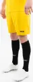 Шорти Jako MANCHESTER 2.0 жовті 4400-335
