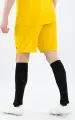 Шорти Jako MANCHESTER 2.0 жовті 4400-335