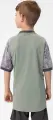 Футболка джерсі дитяча Jako ICONIC S/S м'ятно-сіра 4224-238