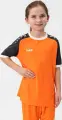 Футболка джерси детская Jako ICONIC S/S оранжево-серо-белая 4224-351