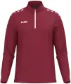 Реглан Jako ONE бордово-білий 8600-155