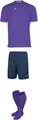 Комплект футбольной формы фиолетовый Joma COMBI №21
