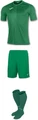 Комплект футбольной формы Joma TIGER 100945.450 №1 зеленый