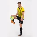 Футболка Joma TIGER II 101464.901 желто-черная