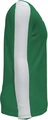 Футболка с длинным рукавом Joma ACADEMY зелено-белая 101658.452