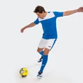 Футболка синьо-біла Joma WINNER 100946.702