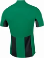 Футболка Joma PISA V 100403.451 зелено-черная