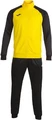 Спортивный костюм Joma ACADEMY IV желто-черный 101966.901