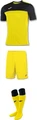 Комплект футбольной формы Joma WINNER 100946.901 №6 желтый
