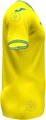 Футболка сборной с картой Украины желтая Joma ЕВРО-2020 AT102404A907