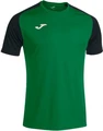 Футболка Joma ACADEMY IV зелено-черная 101968.451