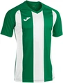 Футболка Joma PISA II зелено-белая 102243.452