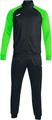 Спортивный костюм Joma ACADEMY IV черно-зеленый 101966.117