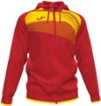 Олимпийка (мастерка) Joma SUPERNOVA II красно-желтая 101605.609