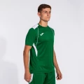 Футболка Joma CHAMPION VII зелено-белая 103081.452