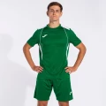 Футболка Joma CHAMPION VII зелено-белая 103081.452