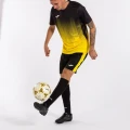 Футболка Joma TIGER IV чорно-жовта 102764.901