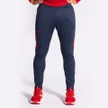 Спортивные штаны Joma CHAMPION VII темно-сине-красные 103200.336
