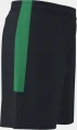 Шорти Joma ECO-CHAMPIONSHIP чорно-зелені 102841.104