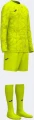 Комплект воротарської форми Joma ZAMORA IX жовтий 103730.998