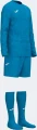 Комплект воротарської форми Joma ZAMORA IX синій 103730.724