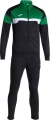 Спортивний костюм Joma DANUBIO III чорно-зелений 103733.104